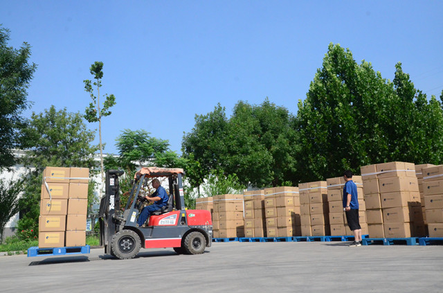 è��������|mrcat����|è��������