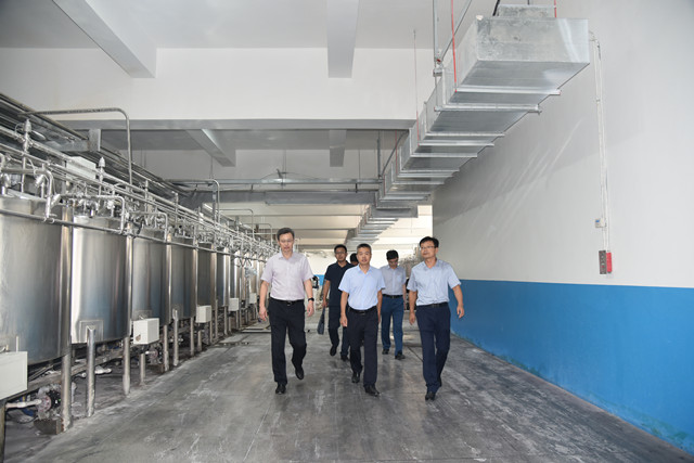 猫先生菠菜|mrcat体育|猫先生官网