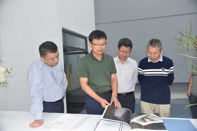 è��������|mrcat����|è��������