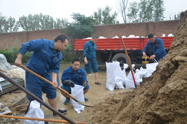 猫先生菠菜|mrcat体育|猫先生官网