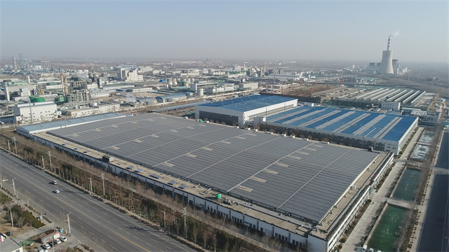 è��������|mrcat����|è��������