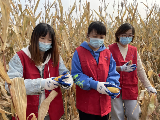 è��������|mrcat����|è��������