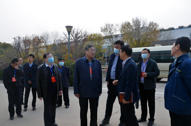 猫先生菠菜|mrcat体育|猫先生官网