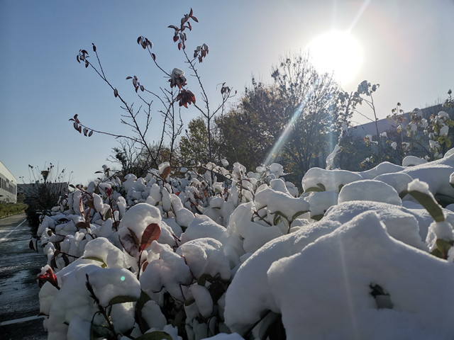 è��������|mrcat����|è��������