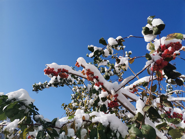 è��������|mrcat����|è��������