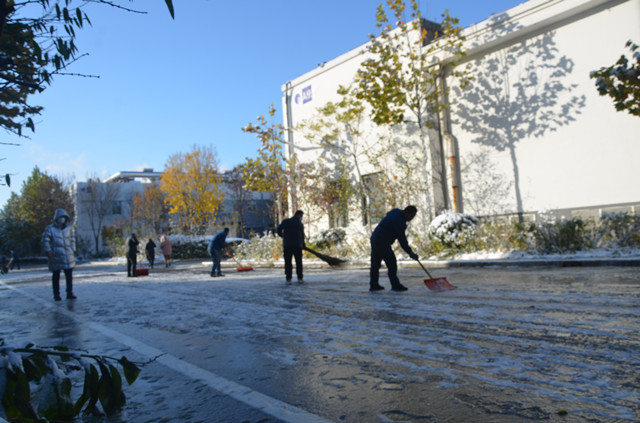 è��������|mrcat����|è��������