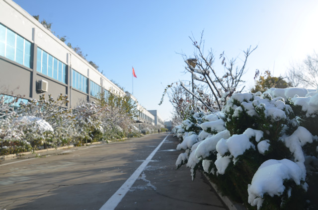 è��������|mrcat����|è��������