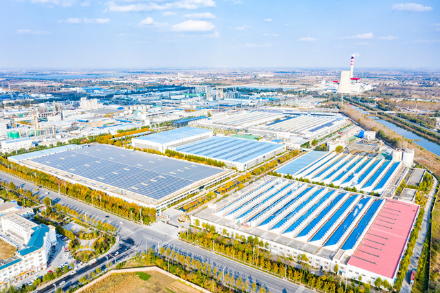 è��������|mrcat����|è��������