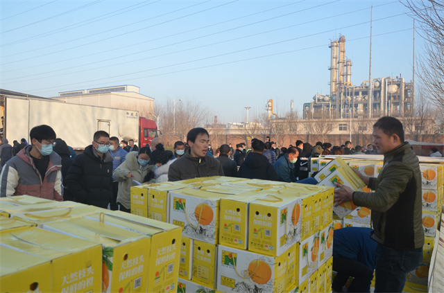 猫先生菠菜|mrcat体育|猫先生官网