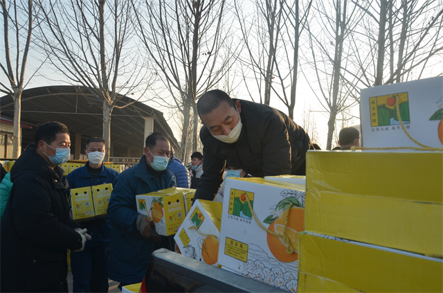 猫先生菠菜|mrcat体育|猫先生官网