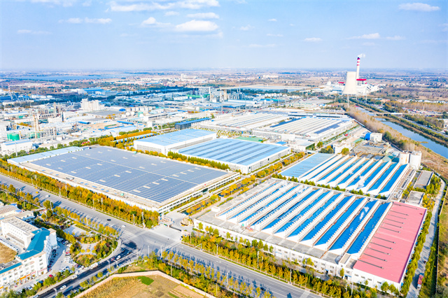 è��������|mrcat����|è��������