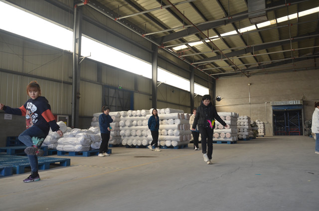 猫先生菠菜|mrcat体育|猫先生官网