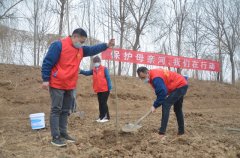 �ƺӰ���ֲ��æ