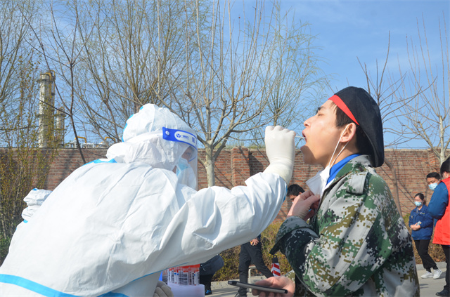 猫先生菠菜|mrcat体育|猫先生官网