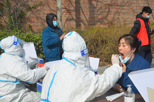 è��������|mrcat����|è��������