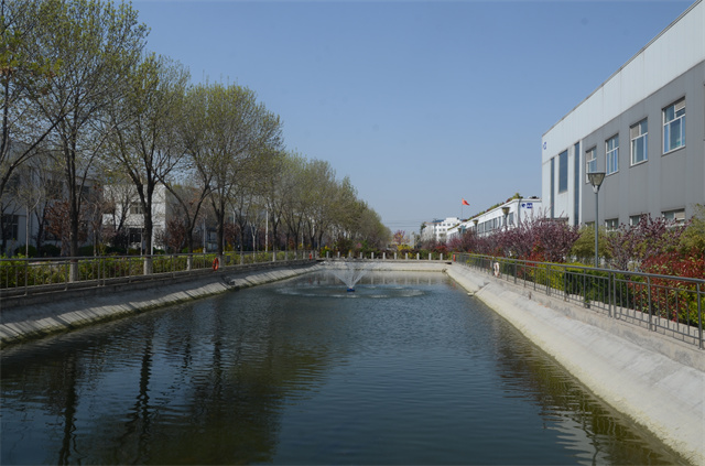 猫先生菠菜|mrcat体育|猫先生官网