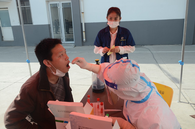 猫先生菠菜|mrcat体育|猫先生官网