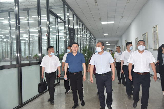 猫先生菠菜|mrcat体育|猫先生官网