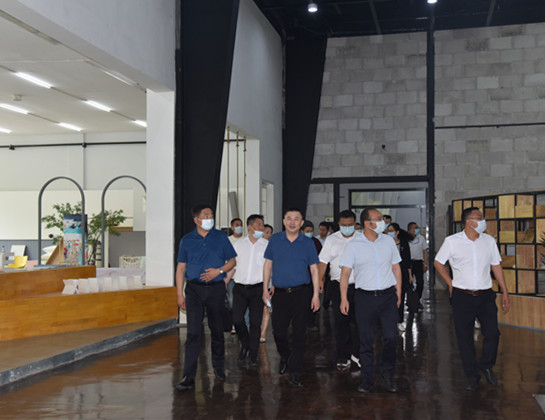 猫先生菠菜|mrcat体育|猫先生官网