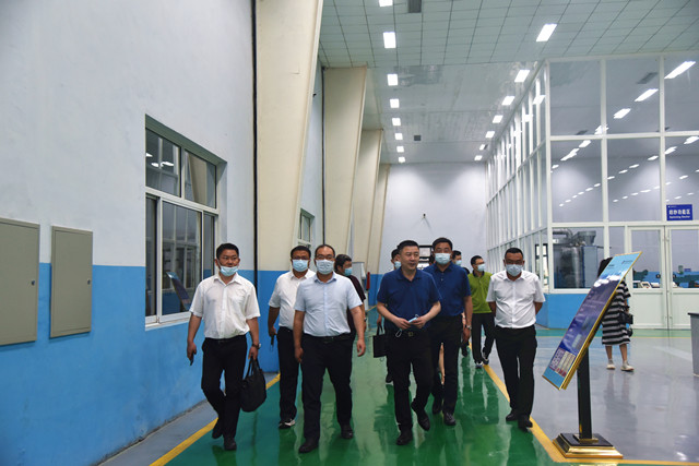 猫先生菠菜|mrcat体育|猫先生官网