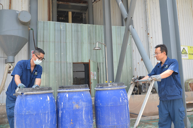 猫先生菠菜|mrcat体育|猫先生官网