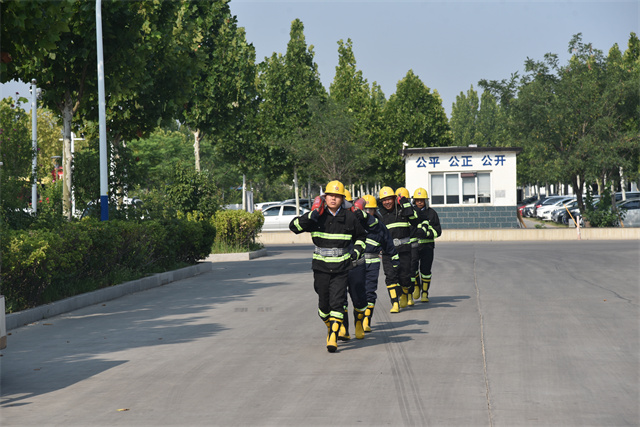 猫先生菠菜|mrcat体育|猫先生官网