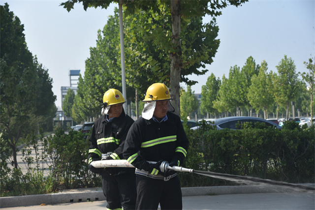 猫先生菠菜|mrcat体育|猫先生官网