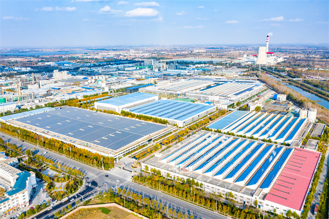 è��������|mrcat����|è��������