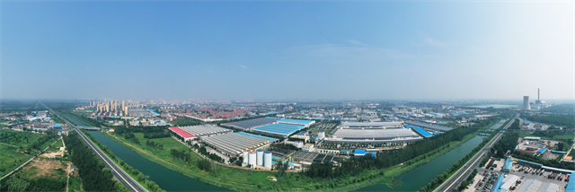 猫先生菠菜|mrcat体育|猫先生官网