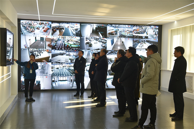 猫先生菠菜|mrcat体育|猫先生官网