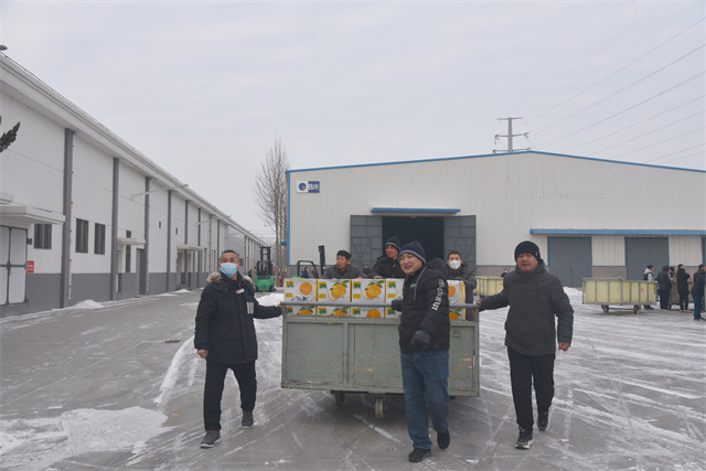 猫先生菠菜|mrcat体育|猫先生官网