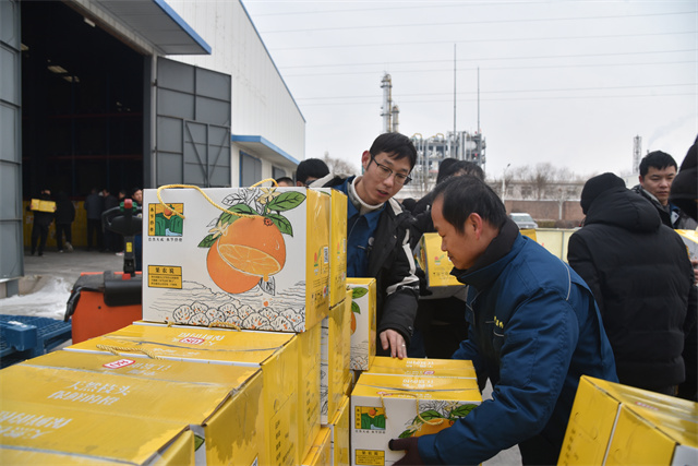 猫先生菠菜|mrcat体育|猫先生官网