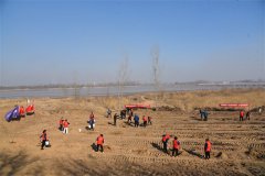 ¹«Ë¾¿ªÕ¹¡°3¡¤12Ö²Ê÷½Ú¡±Ö÷ÌâÔ˶¯