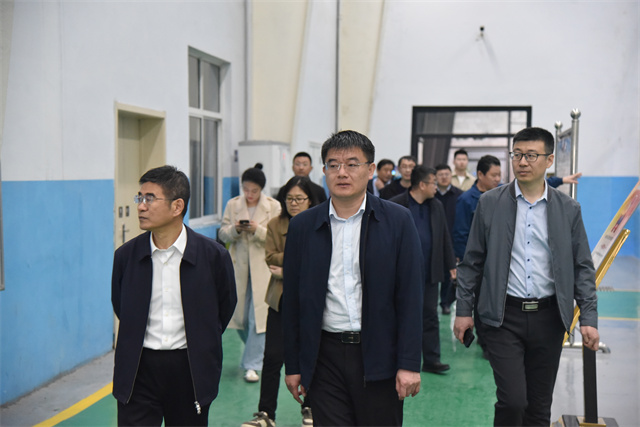 猫先生菠菜|mrcat体育|猫先生官网