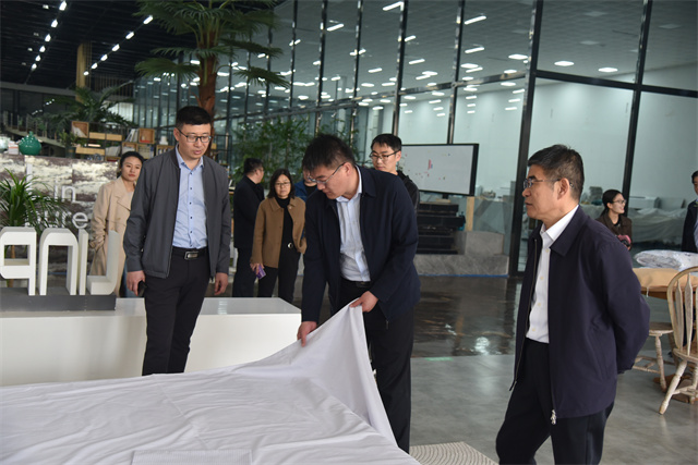 猫先生菠菜|mrcat体育|猫先生官网