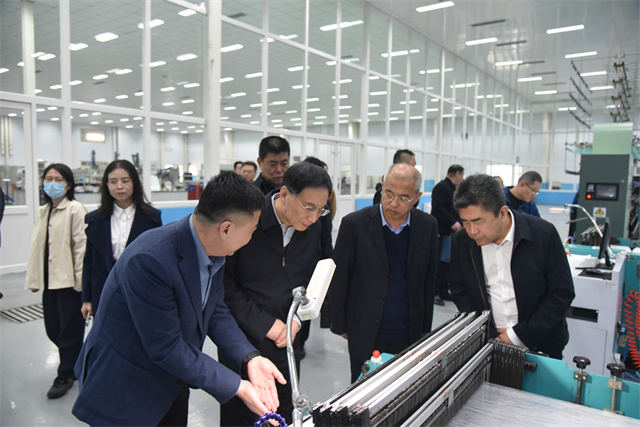 猫先生菠菜|mrcat体育|猫先生官网