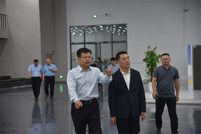 猫先生菠菜|mrcat体育|猫先生官网