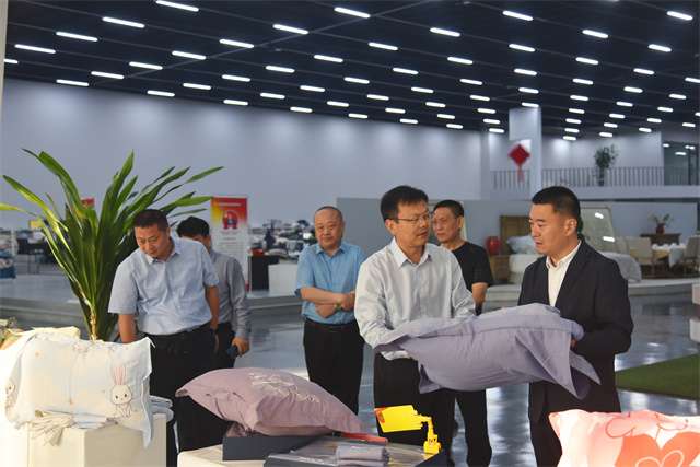 猫先生菠菜|mrcat体育|猫先生官网