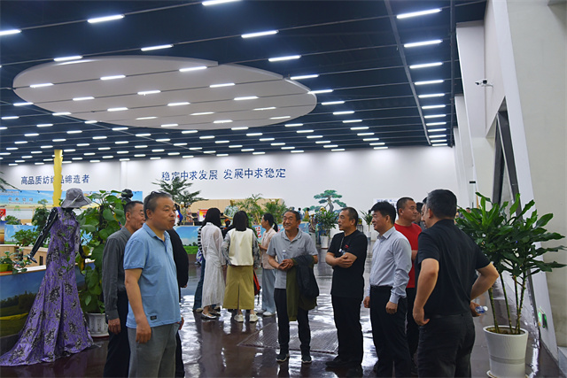 猫先生菠菜|mrcat体育|猫先生官网