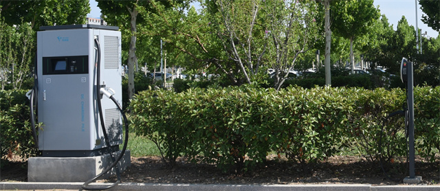 èÏÈÉú²¤²Ë|mrcatÌåÓý|èÏÈÉú¹ÙÍø