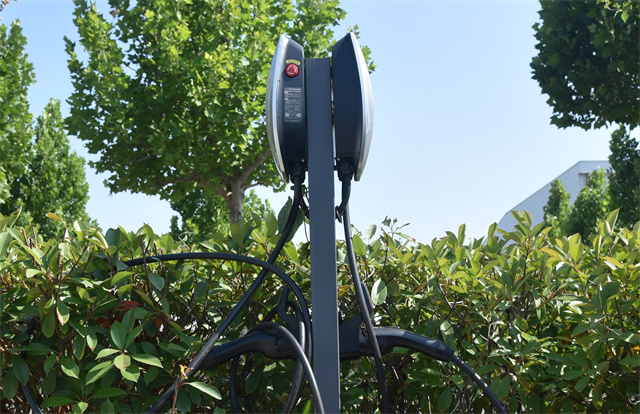 èÏÈÉú²¤²Ë|mrcatÌåÓý|èÏÈÉú¹ÙÍø