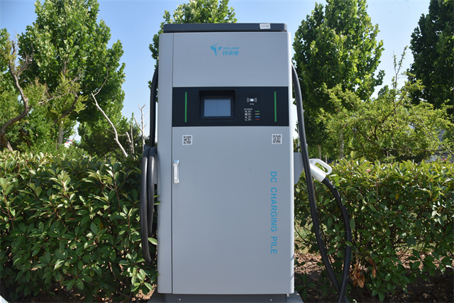 èÏÈÉú²¤²Ë|mrcatÌåÓý|èÏÈÉú¹ÙÍø