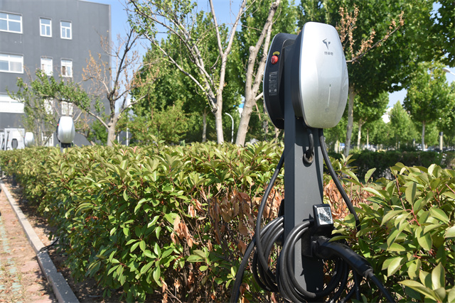 èÏÈÉú²¤²Ë|mrcatÌåÓý|èÏÈÉú¹ÙÍø