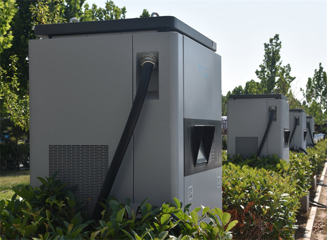 èÏÈÉú²¤²Ë|mrcatÌåÓý|èÏÈÉú¹ÙÍø