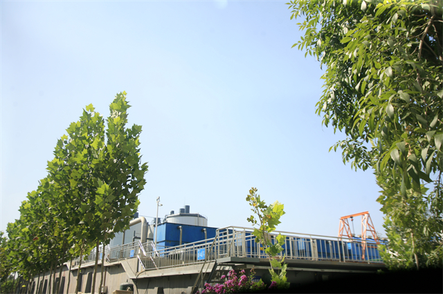 è��������|mrcat����|è��������