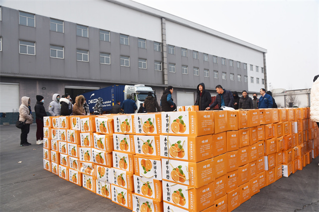 猫先生菠菜|mrcat体育|猫先生官网