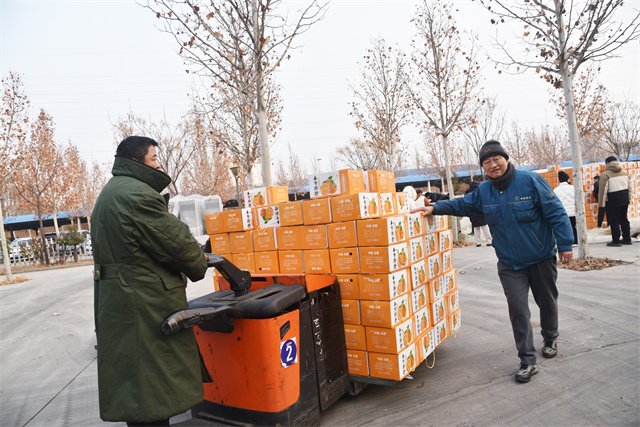 猫先生菠菜|mrcat体育|猫先生官网