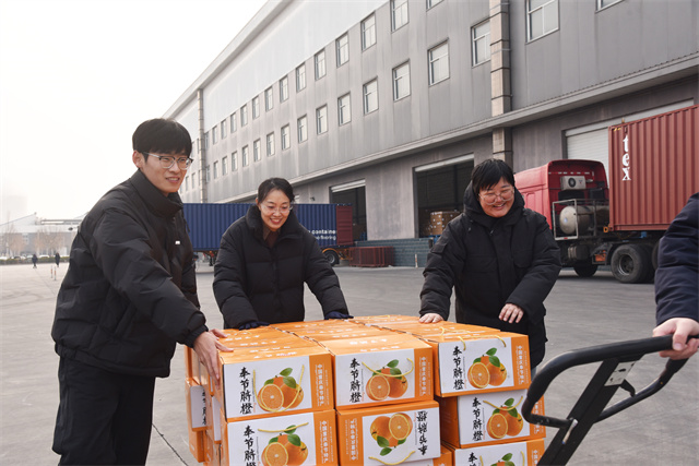 猫先生菠菜|mrcat体育|猫先生官网