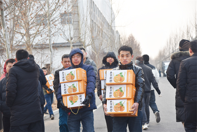 猫先生菠菜|mrcat体育|猫先生官网