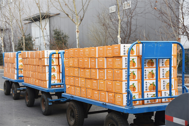 猫先生菠菜|mrcat体育|猫先生官网